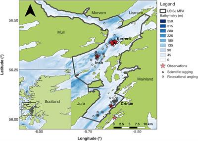 Behavioural Responses of a Large, Benthic Elasmobranch to Catch-and-Release Angling